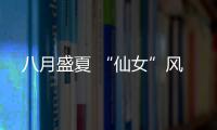 八月盛夏 “仙女”风